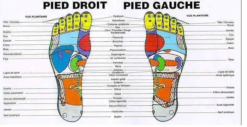 Formation-des-praticiens-3D-8